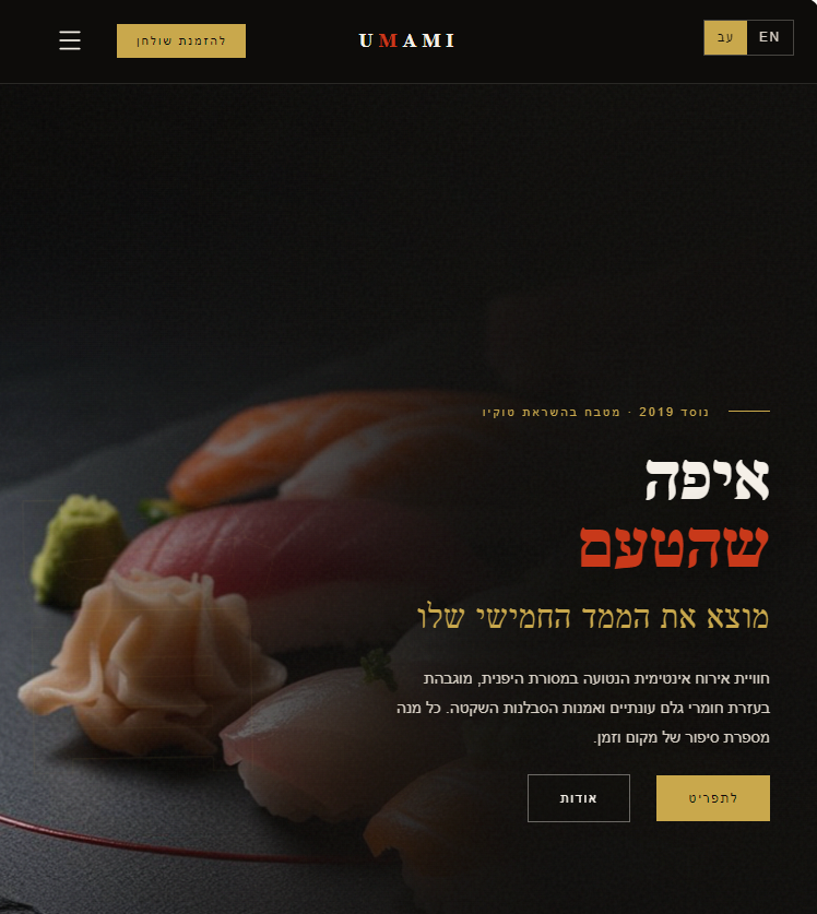 בניית אתרים ב-AI — vibe coding — דוגמה מאתר א.ק. פרוייקטים