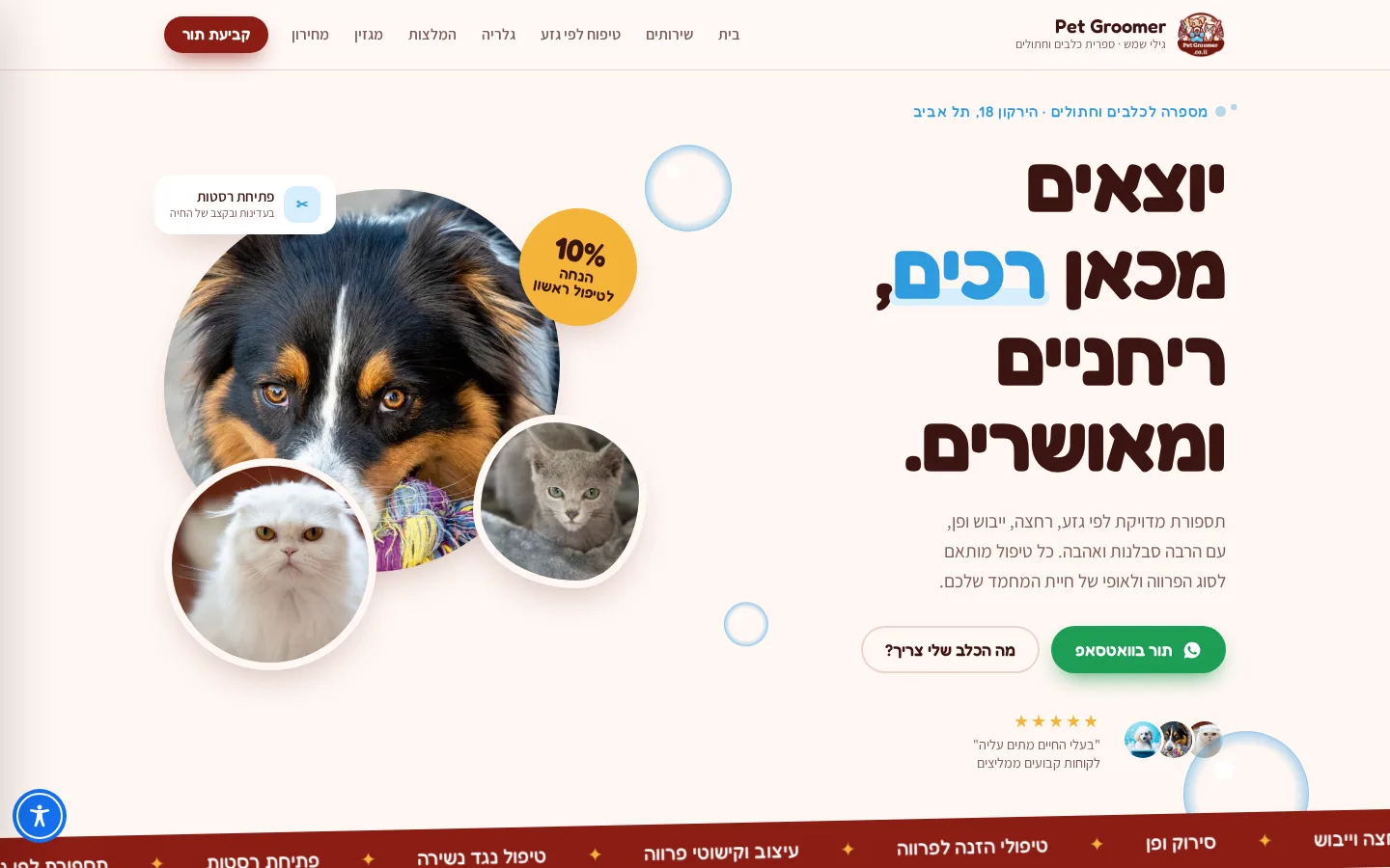 גילי שמש